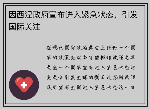 因西涅政府宣布进入紧急状态，引发国际关注